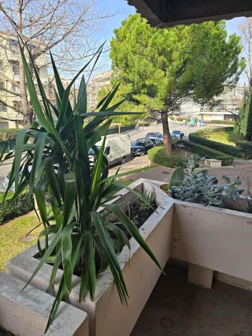 L'appart' Apartment *